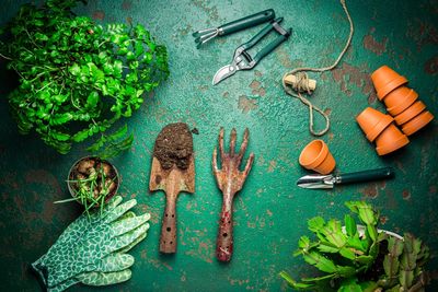 12 Garden Maintenance Chores for December That Avoid Spring Stress