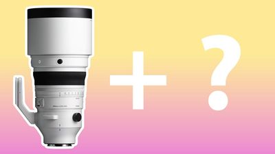 Could Sigma extend its coveted telephoto run with a 300mm f/2.8? This patent supports the possibility