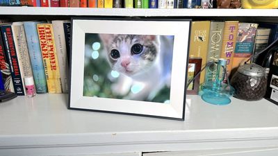 Aura just made it a lot easier to send pictures to its digital photo frames — here's how it works