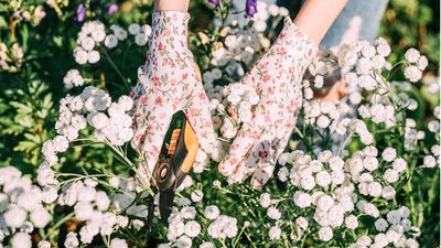 The Most Gift-Worthy Gardening Gloves You'll Find This Christmas – 12 Editor-Approved Styles We're Shopping Now