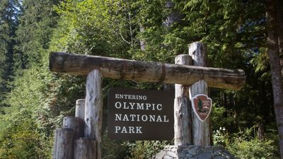 26-year-old disappears into ‘dangerous’ national park, search teams find her car, but what’s nearby is chilling