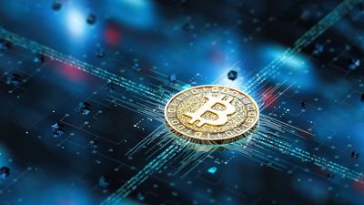 Ever-opportunistic bitcoin miners in the US are reportedly now transforming their crypto farms into 'AI megafactories'