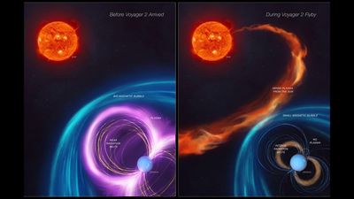 Uranus may have more in common with Earth than we thought, 40-year-old Voyager 2 probe data shows