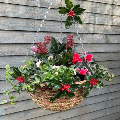 I made my own festive hanging basket and it's the easiest outdoor Christmas upgrade to add the perfect finishing touch