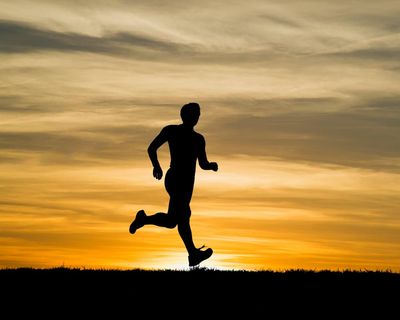 Born to run: how exercise expanded the landscape of my life and got my mind on track