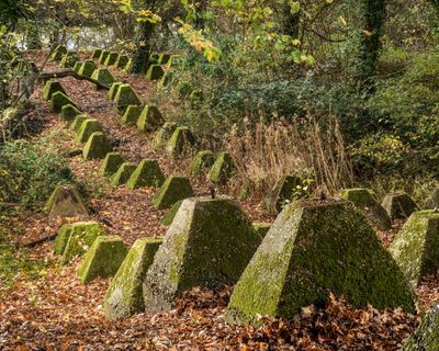 Dragon’s teeth and elf garden among 2025 additions to English heritage list