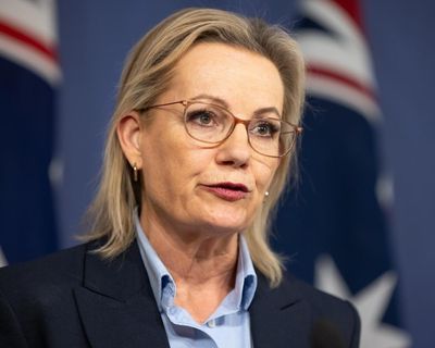 Coalition urged to ignore ‘opinions of Pauline Hanson’ as it weighs hardline approach to immigration