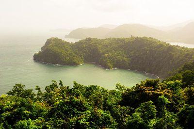 Ever Since We Small by Celeste Mohammed review – a big-hearted Caribbean tale