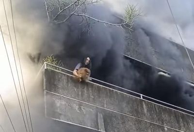 Heroic Furmum Saves Her Dogs From Fire Before Going Down The Side Of The Building To Save Herself