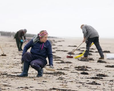 MP calls for ban on ‘biobeads’ at sewage works after devastating Camber Sands spillage