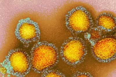 Shocking numbers reveal full extent of flu wave spreading across the country