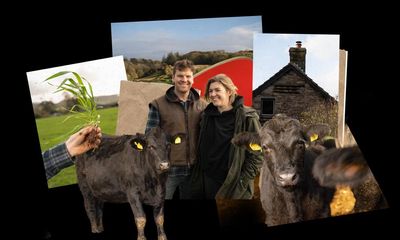 The making of a myth: is McDonald’s meat really 100% beef?