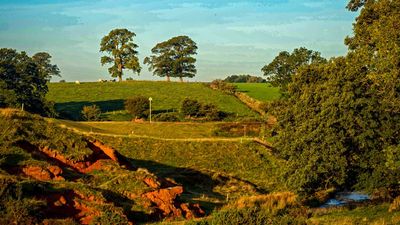 England’s Best-Value Golfing Hotspot Made Me Head Straight Back There… Here’s Why!