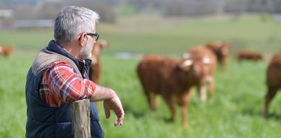 Growing a mix of plants in fields can save farmers money and help the environment – new research