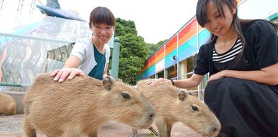Exotic animal cafes: cute trend or welfare crisis?