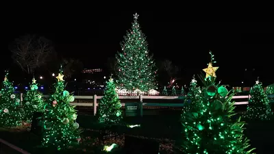 Thieves steal thousands of dollars worth of Christmas trees, then get arrested days later by a cop dressed as someone unexpected