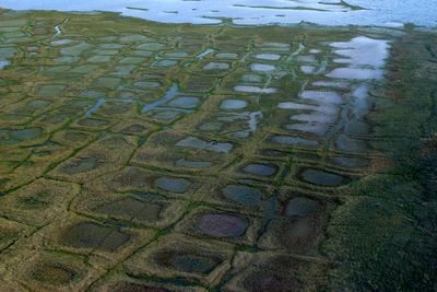 Lawsuit challenges the approval of an exploratory drilling program in Alaska petroleum reserve