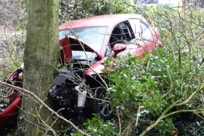 Suspected drink-driver flees after sending car airborne over a hedge and leaving injured passenger behind