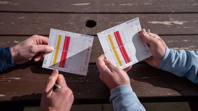 'I'm Beginning To Find The Anti-WHS Rhetoric Quite Grating. Loud Voices Are Sometimes Guilty Of Distorting Reality'