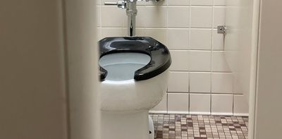 Can you only poo at home? A gastroenterologist explains what the Germans call ‘heimscheisser’