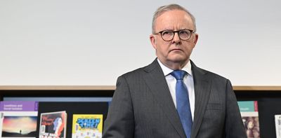 Tighter travel rules may be on the way, after Albanese seeks advice from watchdog