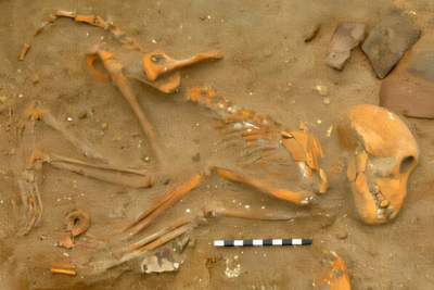 Roman military officers kept monkeys as companions and even gave them their own pets