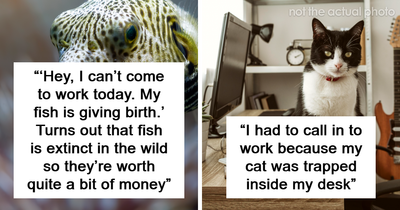 “I Couldn’t Stop Laughing”: 78 Weird But Surprisingly True Excuses For Missing Work
