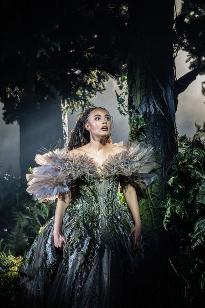 Into the Woods review: A triumphant musical mash-up of fairytales