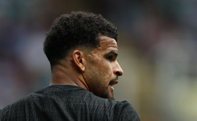 Dominic Solanke drops surprise Tottenham injury return hint