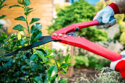 8 Garden Gifts for Plant Lovers That Actually Get Used