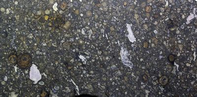 Can scientists detect life without knowing what it looks like? Research using machine learning offers a new way