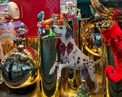 Damn dalmatian! Fury erupts after David Jones cancels Christmas window display to promote joy of … its loyalty program