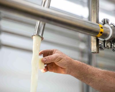 RFK Jr is a danger to public health – but local Maha laws could be a bigger threat