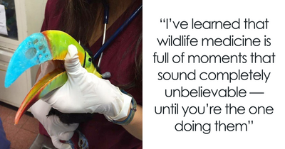 I’m A Wildlife Vet And These 10 Unbelievable Parts Of My Job Are 100% Real