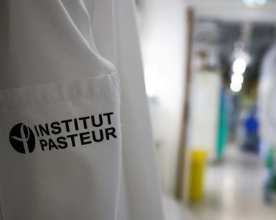 As NHS braces for record flu cases, is the strain active in continental Europe too?