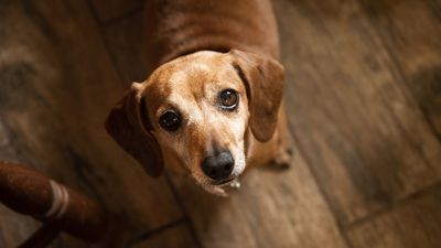 Quick Question: Are You Planning for a 20-Year Retirement or a 30-Year Retirement?