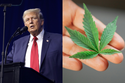 President Trump Targets Federal Marijuana Laws Whilst Republican Support for Legalisation Dips, Poll Shows