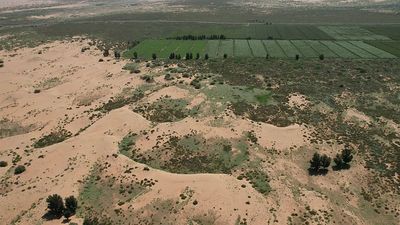 China's Great Green Wall: The giant artificial forest designed to slow the expansion of 2 deserts