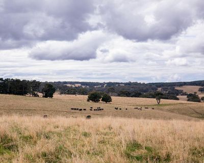 Mining company claims government didn’t follow proper process for Aboriginal heritage protection order