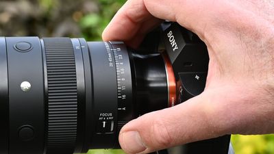 The f/2.8 used to be the gold standard for zoom lenses. Modern zooms are going even brighter – and it may just be my favorite photography trend yet