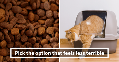 Face 30 Hard ‘Would You Rather’ Choices And See How Your Picks Compare To Everyone Else