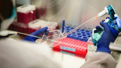 New single-dose gonorrhoea drug could be breakthrough for antibiotic-resistant infections