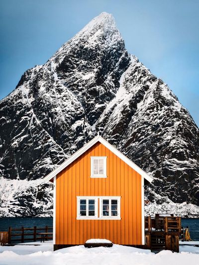 ‘My photos are warm and full of imagination – that’s something AI could never achieve’: Yuan Li’s best phone picture