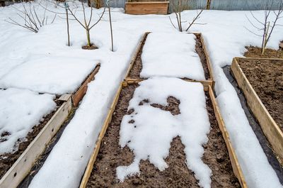 12 Ways to Build Soil Over Winter Using Leaves, Compost & More