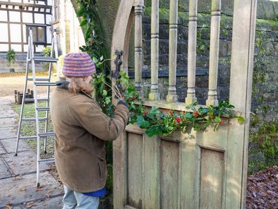 Are Holiday Decorations Actually Harming Your Garden?