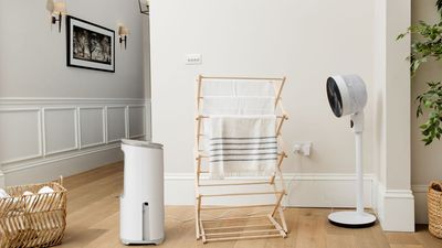 Experts reveal a surprisingly simple formula for drying clothes faster and cheaper than ever