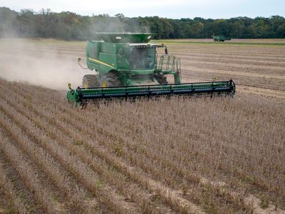 More financially distressed farmers are expected to lose their property soon as loan repayments and incomes continue to falter