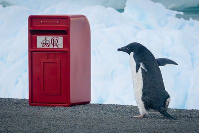 King’s special post box delivery for scientists in the Antarctic