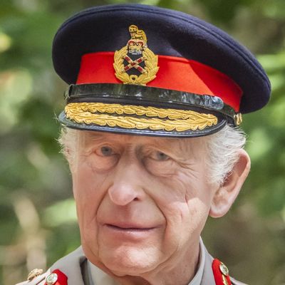 Royal Expert Details King Charles's "Un-Regal" Reaction to His Cancer Diagnosis, as Monarch's "Determination" to "Not Reveal" Certain Information Continues