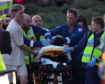 Bondi beach attack: what we know so far about the shooting in Australia